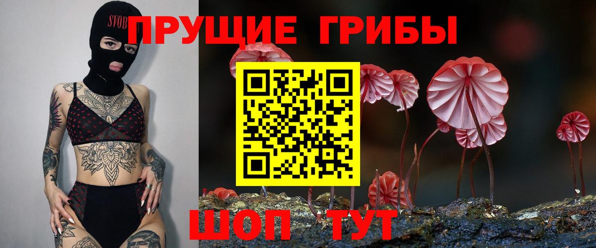 Галлюциногенные грибы MAGIC MUSHROOMS Курчатов